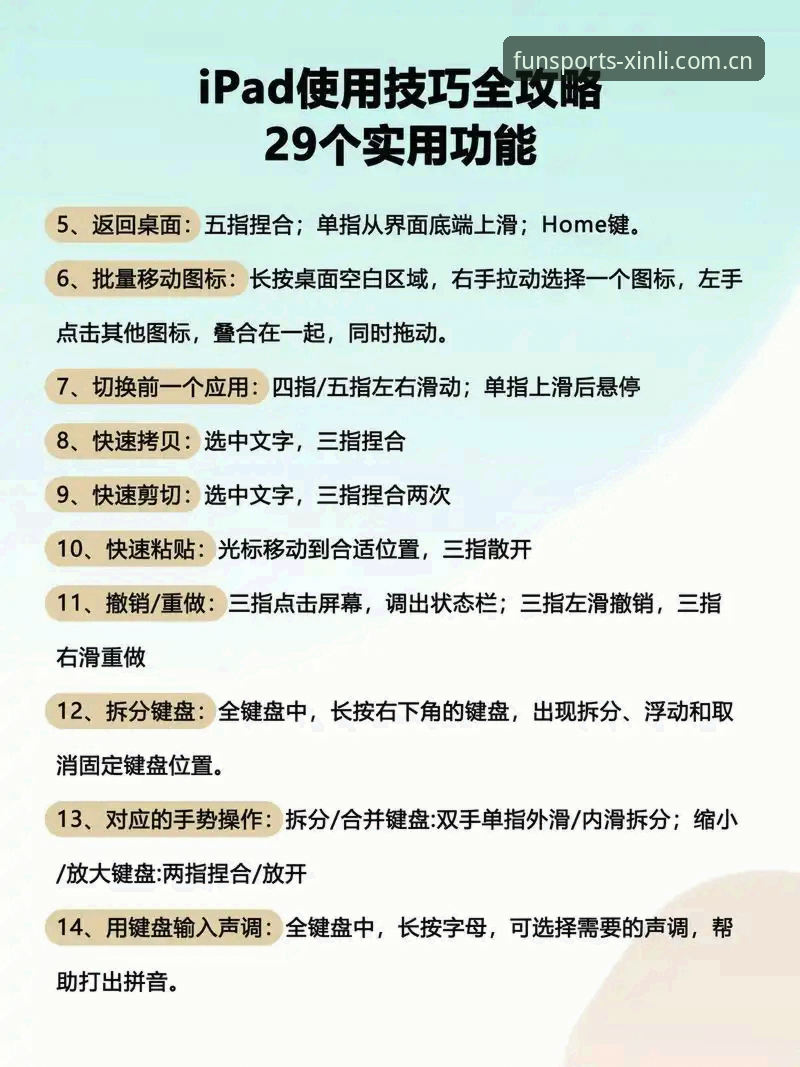 新利体育平台使用教程：常见问题深度解析与操作指南